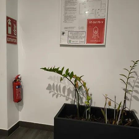 Apartament Increible Piso Centrico
